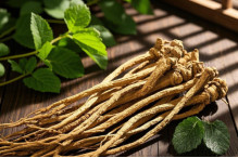Multifunctional Natural ANGELICA SINENSIS EXTRACT For Skincare